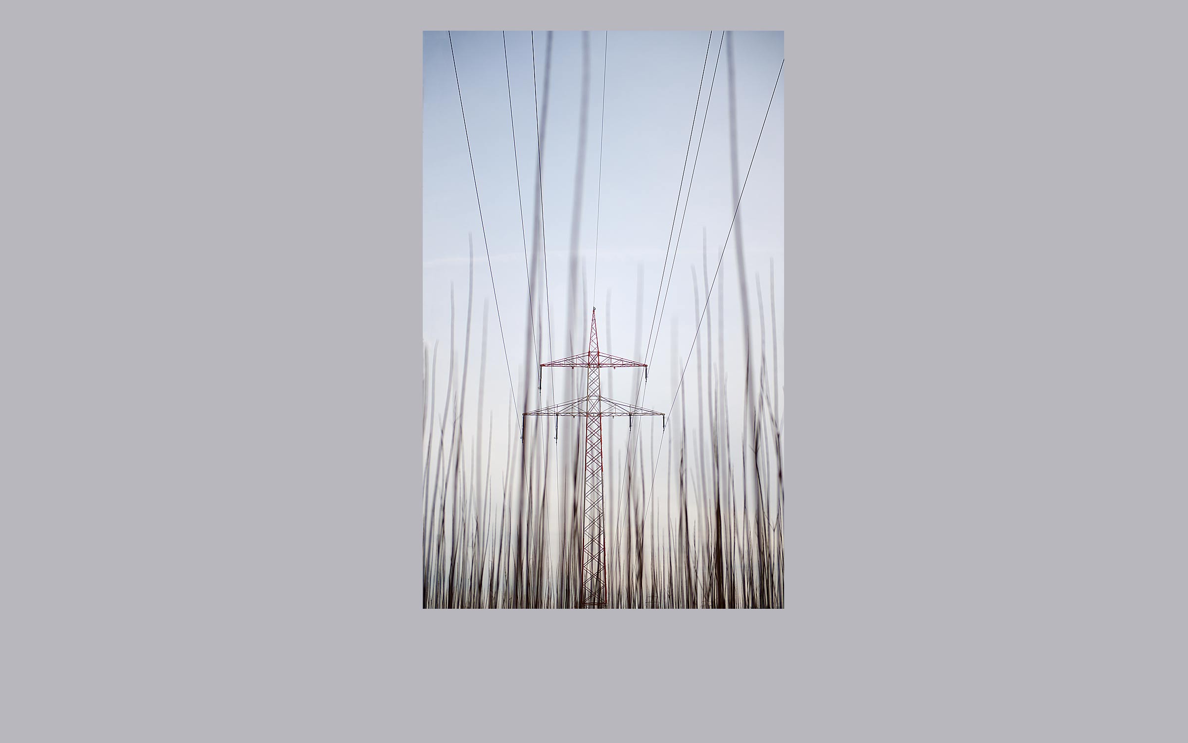 lorem ipsum dolor sit