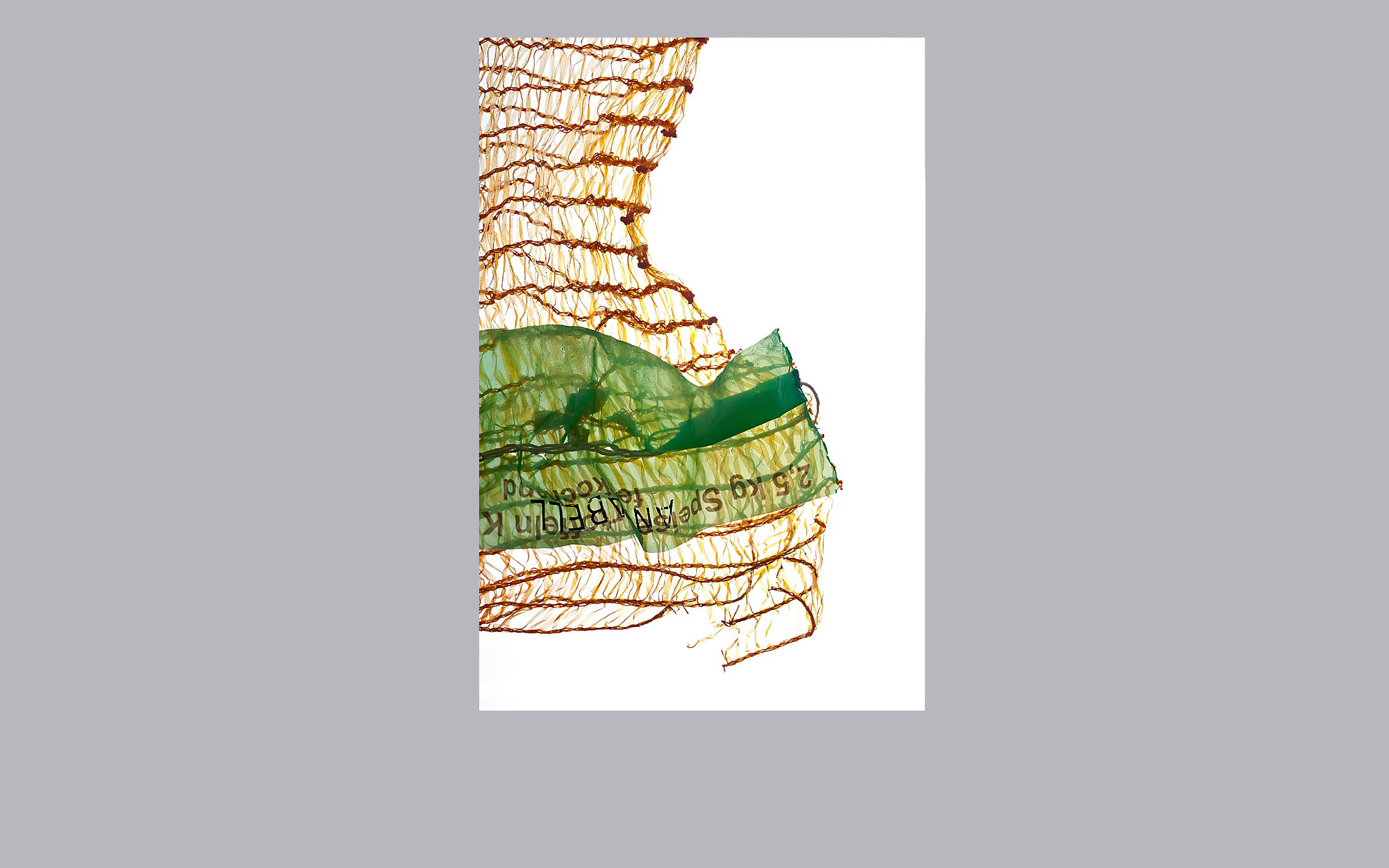 lorem ipsum dolor sit